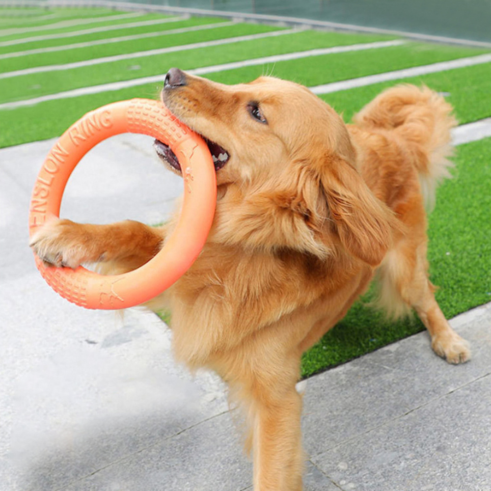 Indestructible Dog Chew Toy - 1 szt. Pomarańczowy zabawki dla psów
