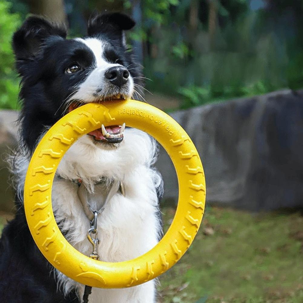 Indestructible Dog Chew Toy - Zabawki dla psów w kształcie pierścieni,