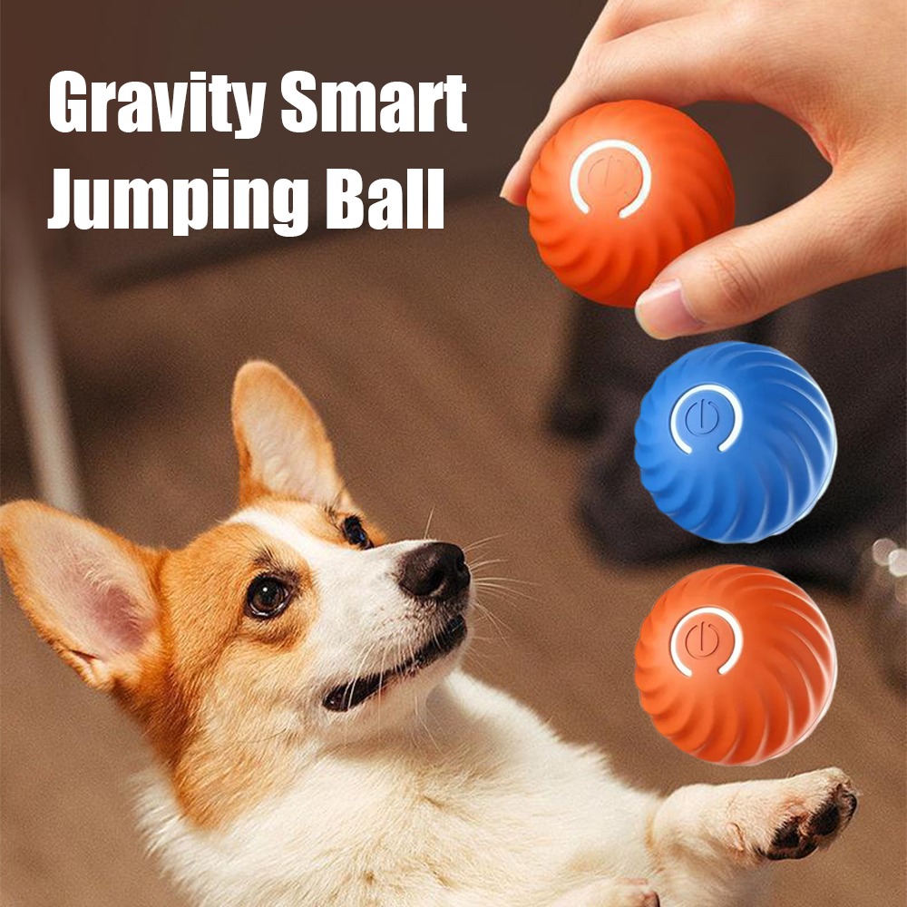 Nowa 1-częściowa automatyczna  – Automatic Moving Dog Ball recenzja i cena