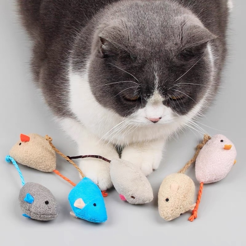 Przenośna, miękka, interaktywn – Catnip Interactive Plush Mouse recenzja i cena