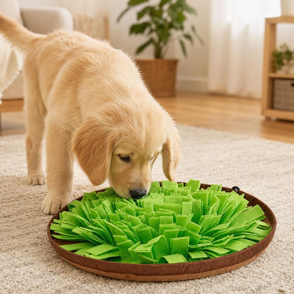 Interaktywna mata do zabawy dl – Dog Puzzle Feeder Toy recenzja i cena