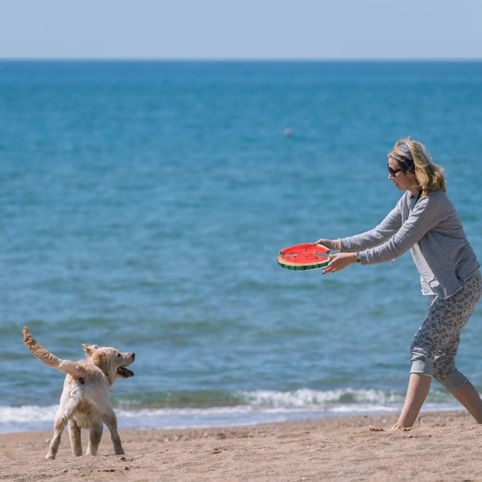 Lekki, pływający frisbee dla p – Flying Disc Dog Training Toy recenzja i cena